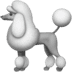 :poodle: :poodle: